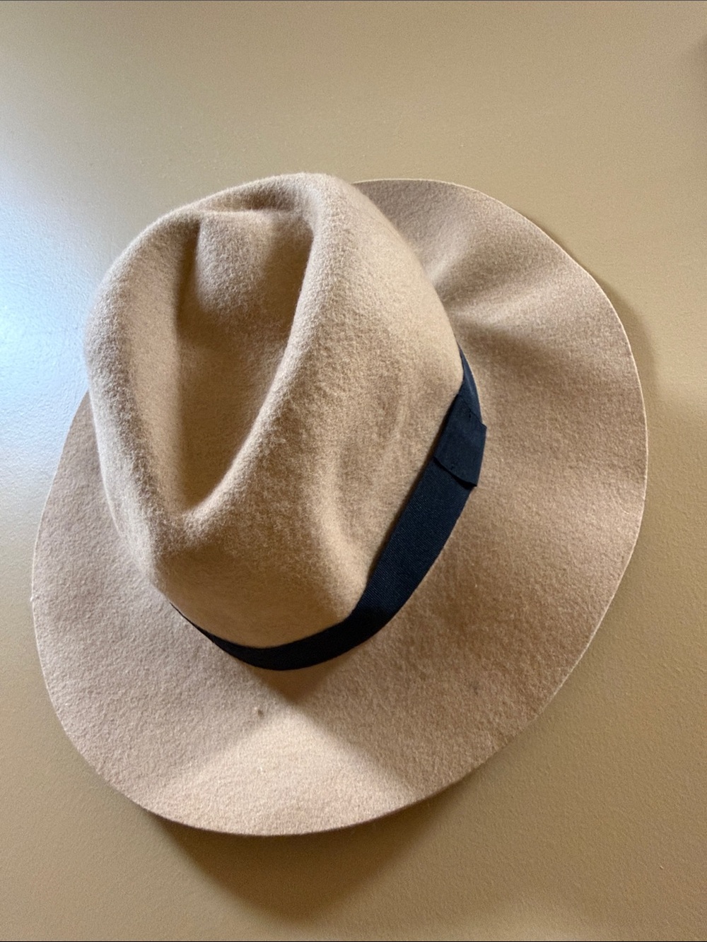 Call It Spring Beige Fedora with Black Band
